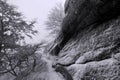 Winter snow forest. Snow lies on the branches of trees. Frosty and foggy snowy weather. Beautiful winter forest landscape. Royalty Free Stock Photo