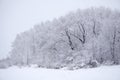 Winter snow forest road turn landscape. Snow winter forest road turn view. Winter forest snow road scene Royalty Free Stock Photo