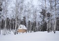 Winter, snow, forest, tree, cold, nature, trees, landscape, white, birch, frost, woods, ice, wood, season, park, sky, snowy, blue, Royalty Free Stock Photo