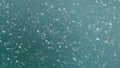 Winter snow and frost background with free space for your decoration. Christmas background with blurry bokeh. Winter landscape Royalty Free Stock Photo