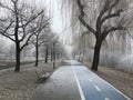 Winter snow and frost in a urban park