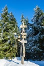 Winter with snow in the Giant Mountains, Czech Republic Royalty Free Stock Photo