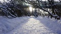 Winter snow in Gorky park