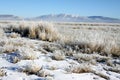 Winter Snow Great Basin Desert Royalty Free Stock Photo