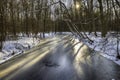 Winter with snow and ice in the Waterloopbos, Royalty Free Stock Photo