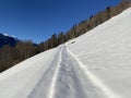 Winter snow idyll along the rural alpine road above the Obertoggenurg valley and on the slopes of the Alpstein mountain range Royalty Free Stock Photo