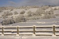 Winter Snow landscape, Cardiff, UK