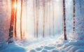 Winter snow landscape. Christmas background. Fir tree forest on mountain. Frozen season nature woods, sun in sunset sky, sunrise Royalty Free Stock Photo