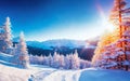 Winter snow landscape. Christmas background. Fir tree forest on ski mountain. Nature sunrise view, sun in sunset sky Wood scenery