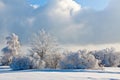 Winter snow landscape, High Fens, Belgium Royalty Free Stock Photo