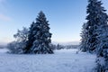 Winter snow landscape, High Fens, Belgium Royalty Free Stock Photo