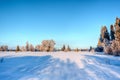 Winter snow landscape, High Fens, Belgium Royalty Free Stock Photo