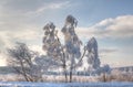 Winter snow landscape, High Fens, Belgium Royalty Free Stock Photo