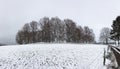 Winter snow landscape, Vielsalm, Ardens, Belgium