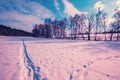 The path is trampled on a frozen lake