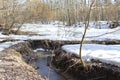 After the Winter Snow is Melting, the Flow of Water in Wooded Area. spring. a stream in the forest. thawing areas. Little creek Royalty Free Stock Photo