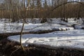 After the Winter Snow is Melting, the Flow of Water in Wooded Area. spring. a stream in the forest. thawing areas. Little creek