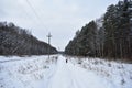 Winter snow mixed forest. Cloudy sky. Birch grove. There is snow and ice on the branches of the trees. Girl