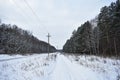 Winter snow mixed forest. Cloudy sky. Birch grove. There is snow and ice on the branches of the trees. Girl