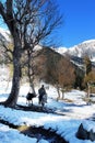 Cow boy at snowy mountain valley in Kashmir in India.