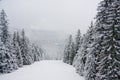 Winter snow mountains. Borovets, Bulgaria Royalty Free Stock Photo