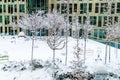 Winter snow in Paris City and its parks