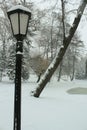 Winter snow park alley landscape. Snow benches at winter city park alley vertical image Royalty Free Stock Photo