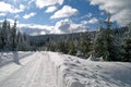 Winter - snow path
