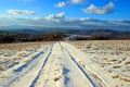 Winter Snow Path Royalty Free Stock Photo