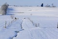 Winter Snow in Pennsylvania Royalty Free Stock Photo