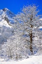 Winter snow scene in French Alps.
