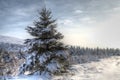 Winter Snow Scene HDR Royalty Free Stock Photo