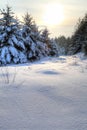 Winter Snow Scene HDR Royalty Free Stock Photo