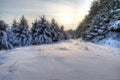 Winter Snow Scene HDR Royalty Free Stock Photo