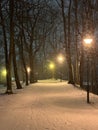 Winter snow storm in the park alley in Tartu, Tartu maakond, Estonia, November 2022 Royalty Free Stock Photo