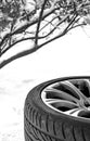 Winter Snow Tire Royalty Free Stock Photo