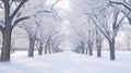 Winter Snow Trees, Park Road Perspective, White Alley Tree Rows convergence