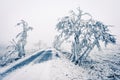 Winter snowbound road covered with snow Royalty Free Stock Photo