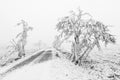 Winter snowbound road covered with snow and rime Royalty Free Stock Photo