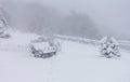 Winter snowfall has enveloped the entire space in the park with a white fluffy blanket, snow euphoria reigns in the air. Royalty Free Stock Photo