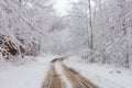 Winter snowfall has enveloped the entire space in the park with a white fluffy blanket, snow euphoria reigns in the air. Royalty Free Stock Photo