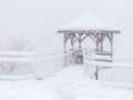 Winter snowfall has enveloped the entire space in the park with a white fluffy blanket, snow euphoria reigns in the air. Royalty Free Stock Photo