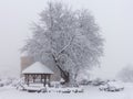 Winter snowfall has enveloped the entire space in the park with a white fluffy blanket, snow euphoria reigns in the air. Royalty Free Stock Photo