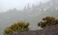 Winter snowfall in Teide National Park, Tenerife, Canary Islands, Spain.Snowy volcanic rocky desert landscape.