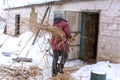 Winter is snowing. A male farmer carries dry reeds in a barn. Rural landscape Royalty Free Stock Photo