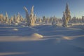 Winter landscape with forest, cloudy sky and sun. America, country. Royalty Free Stock Photo