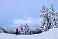 Winter snowshoe hiking in mountains. Royalty Free Stock Photo