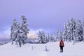 Winter snowshoe hiking in mountains. Royalty Free Stock Photo