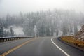 Winter snowstorm and fog makes driving hazardous Royalty Free Stock Photo