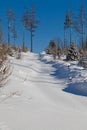 Snowy country side - like post card view